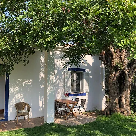 Quinta Quinze