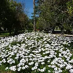 לינה וארוחת בוקר Quinta Quinze 3*